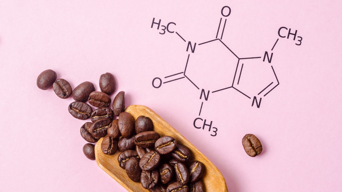 the buzz on caffeine