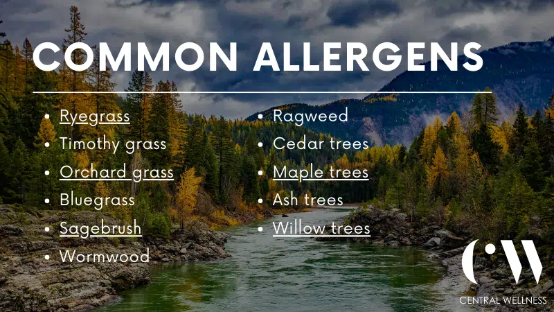 common allergens