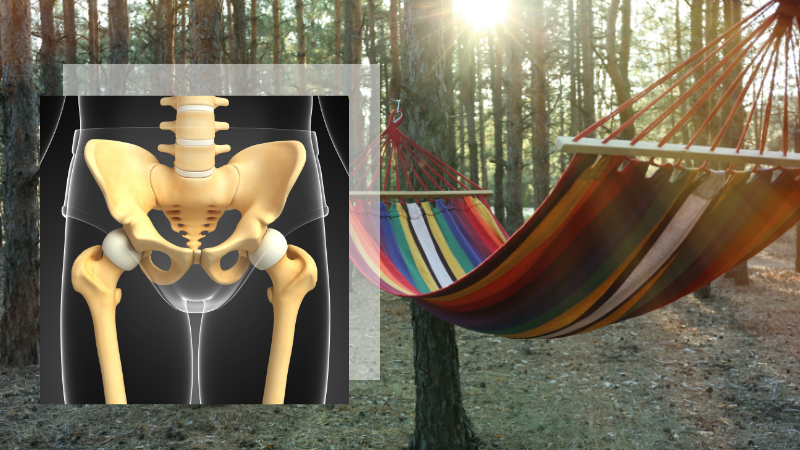 core to floor therapy pelvis image